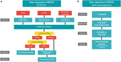 Frontiers | Current Treatment Algorithms For Patients With Metastatic ...